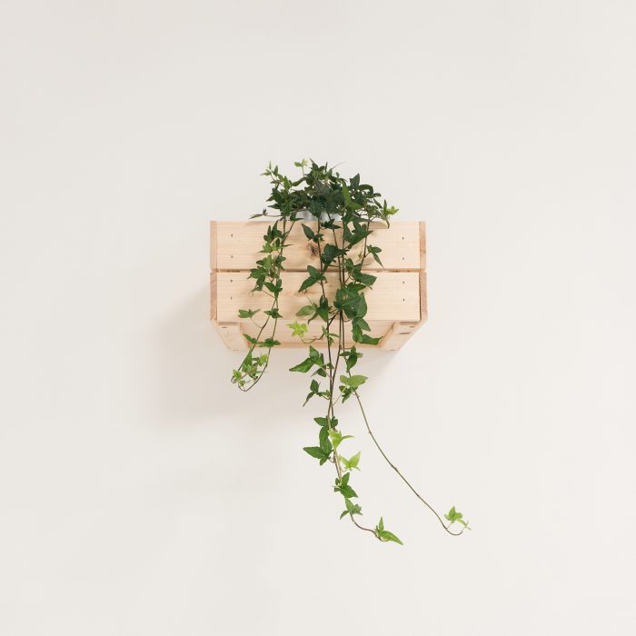 federica-galli-571119-unsplash.jpg federica-galli-571119-unsplash.jpg